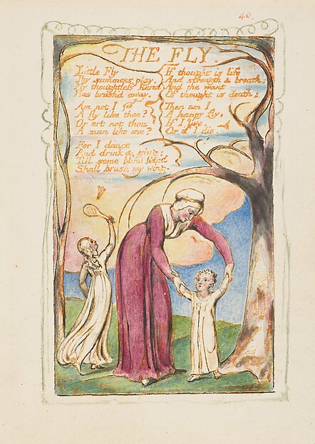 William Blake, Songs of Experience: The Fly