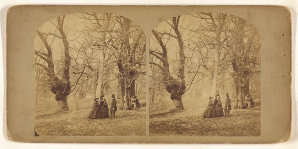 Unknown, Christ Church Park, Ipswich.