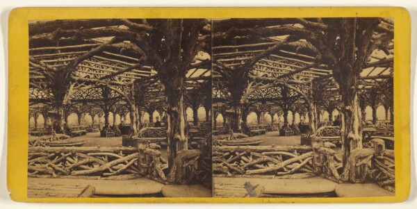 Edward and Henry T. Anthony & Co., Central Park. (New York.) The Rustic Arbor.