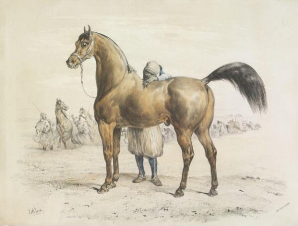 Victor Adam, Arab Horse and African Groom