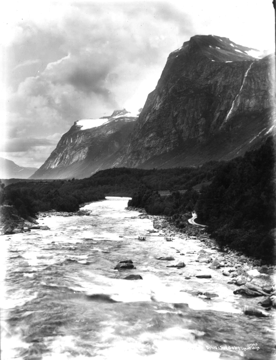 Anders Beer Wilse, Lakseruse