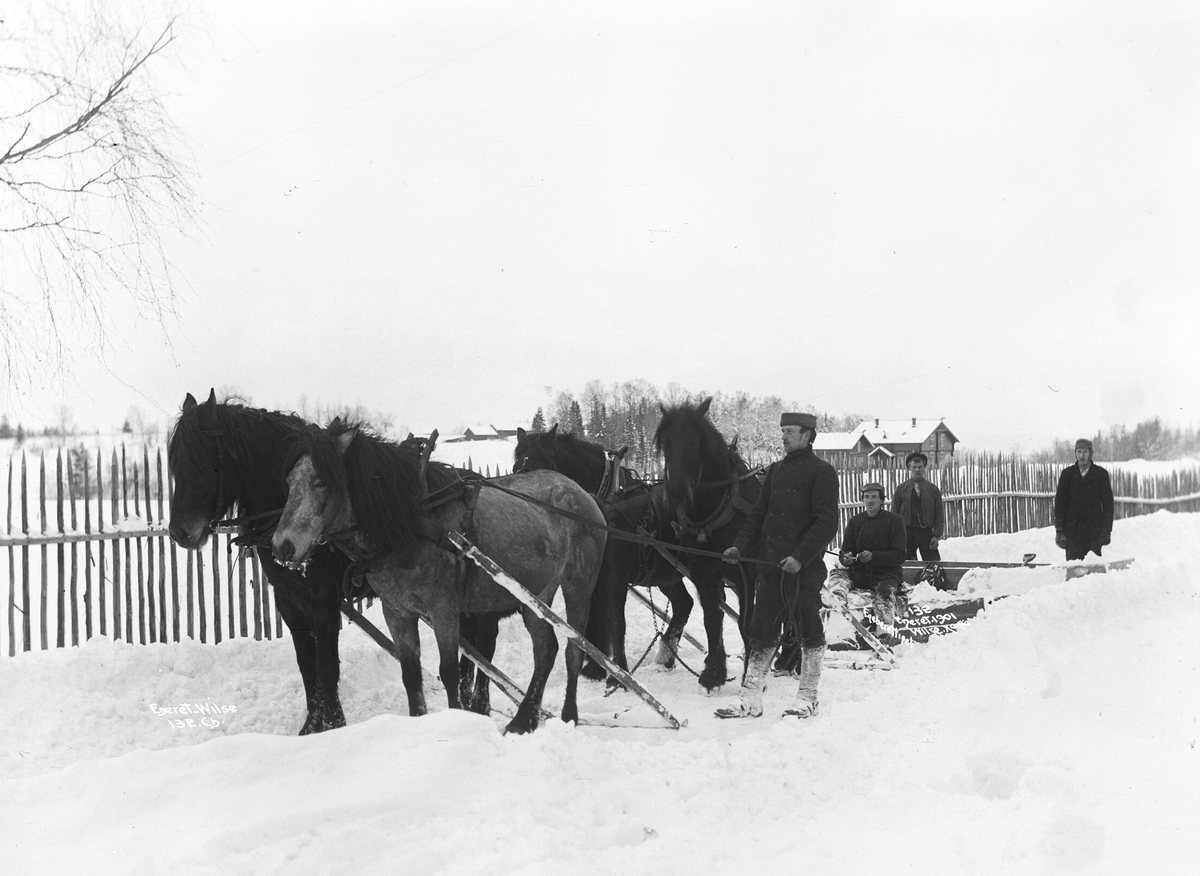 Anders Beer Wilse, Prot: Sneplougen forfra Mars 1901