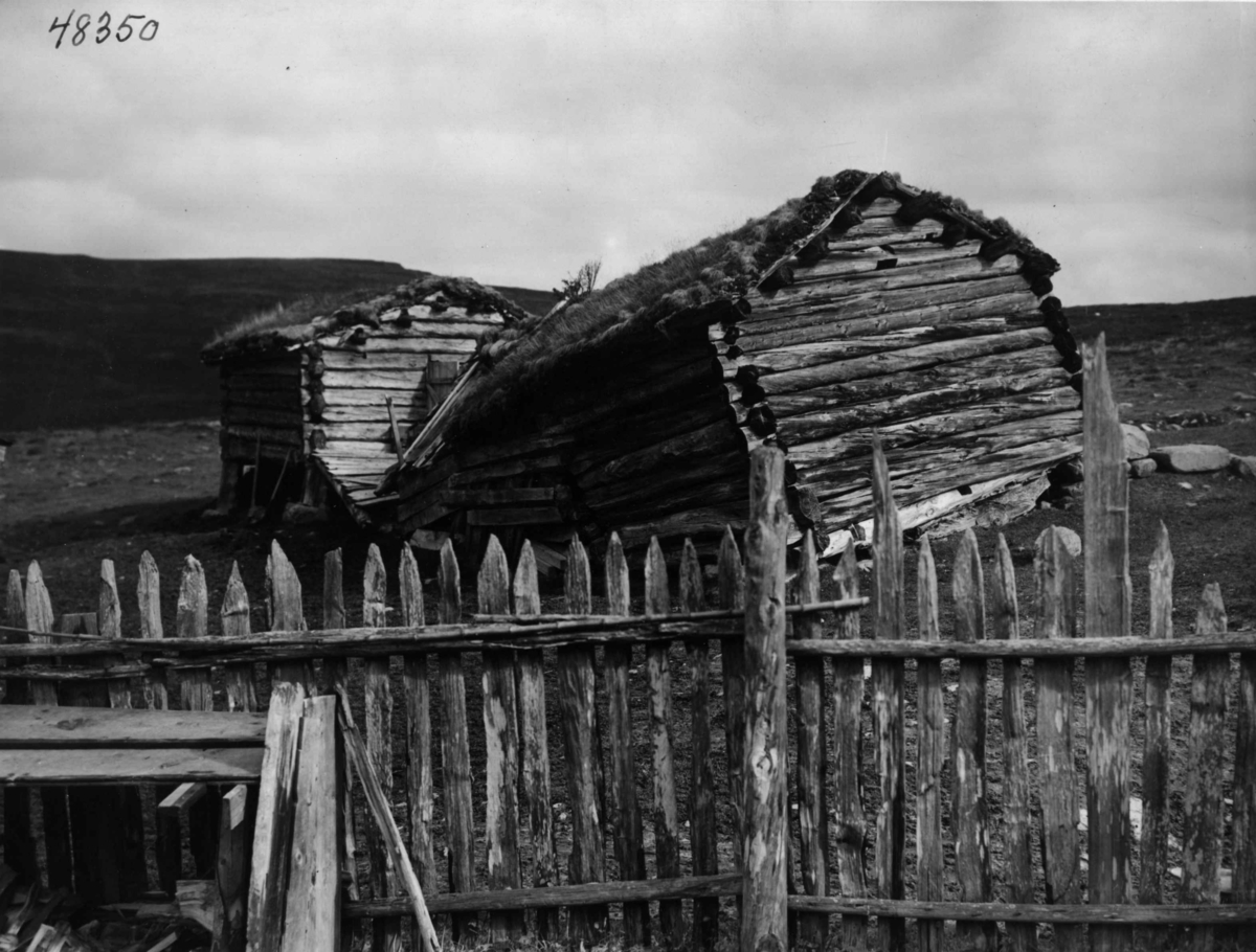 Anders Beer Wilse, Klevstad Seter Furusjoen