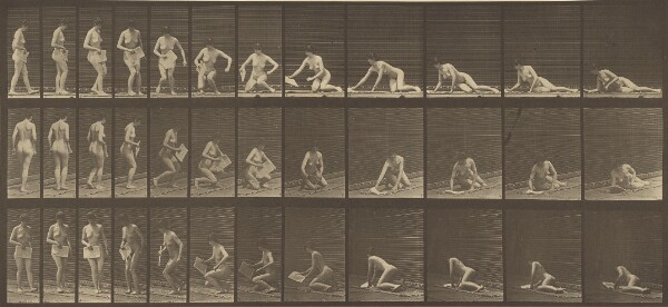 Eadweard J. Muybridge, Animal Locomotion