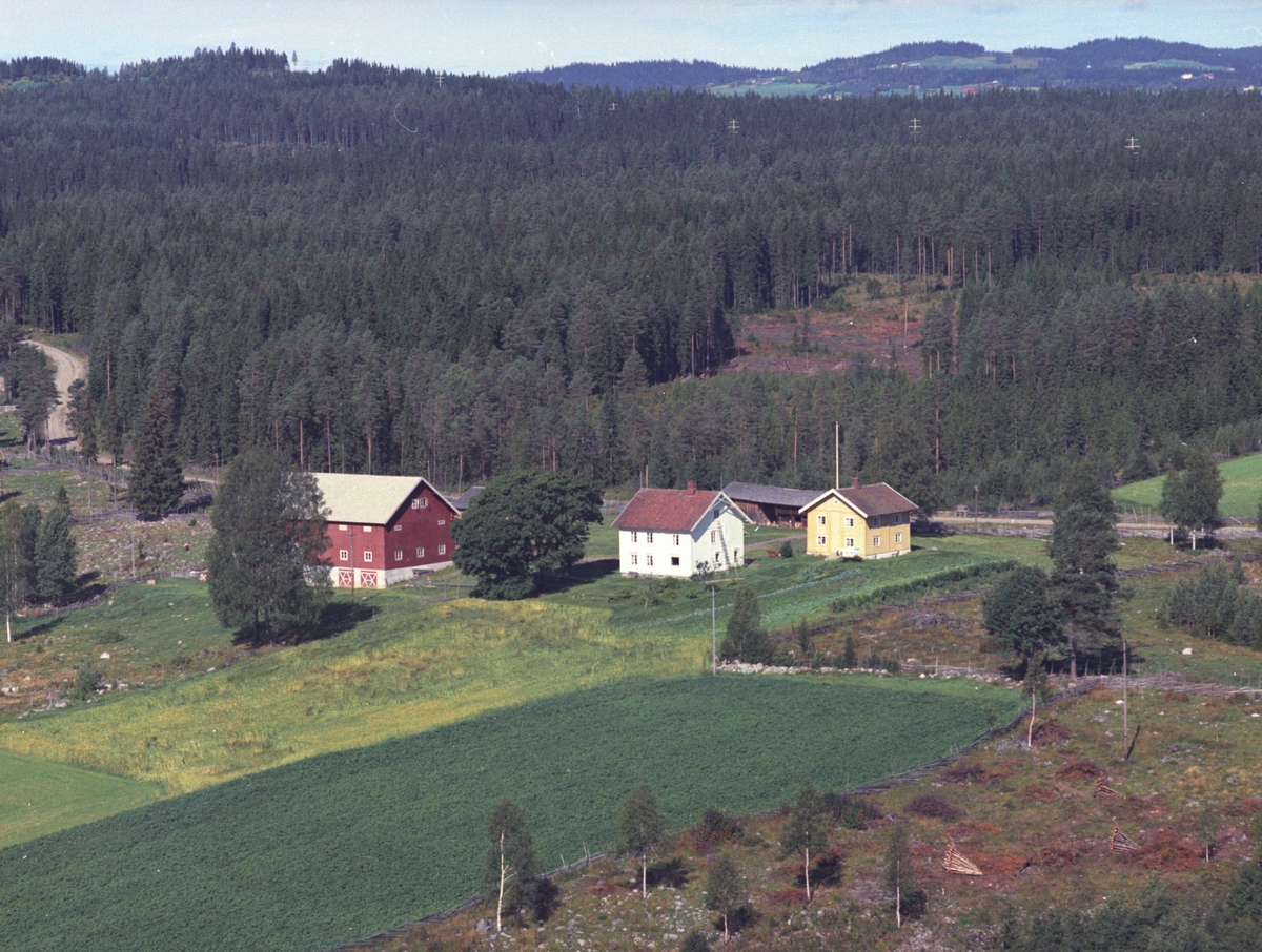 Widerøes Flyveselskap A/S, Flyfoto, Hemma søndre, Åsmarka, Ringsaker.