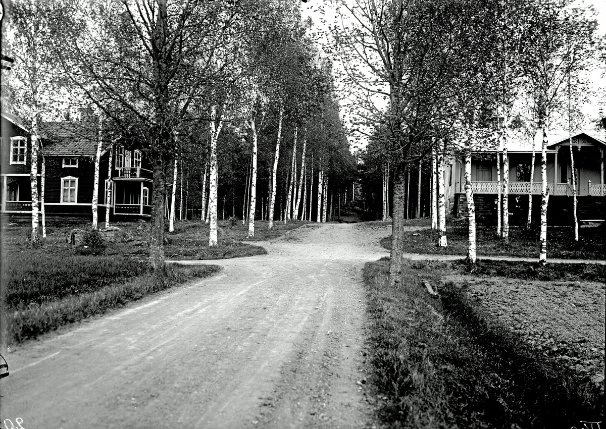 Ellert Johan Viktor Sörman, Johannisdal. Fotograf E Sörman.