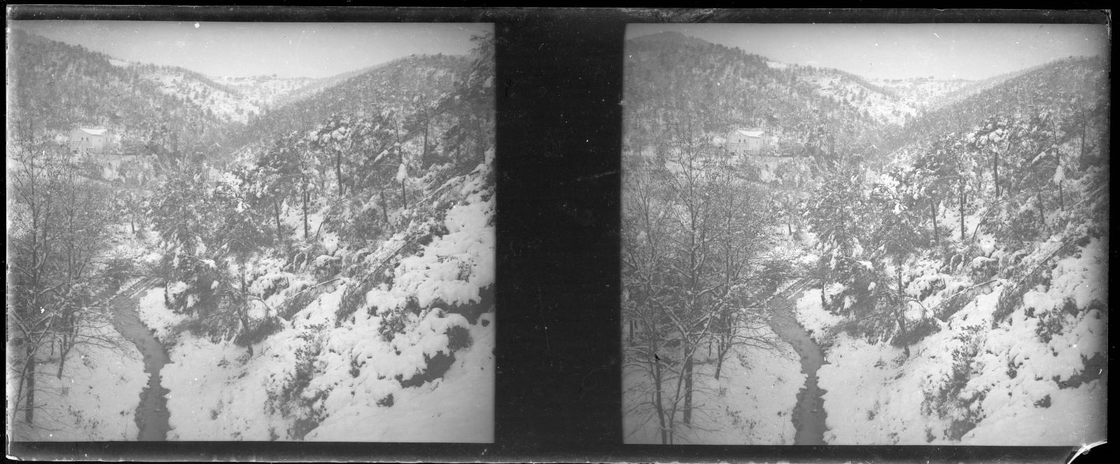 Desconegut, [Bosc nevat als entorns de la riera de Vallvidrera]