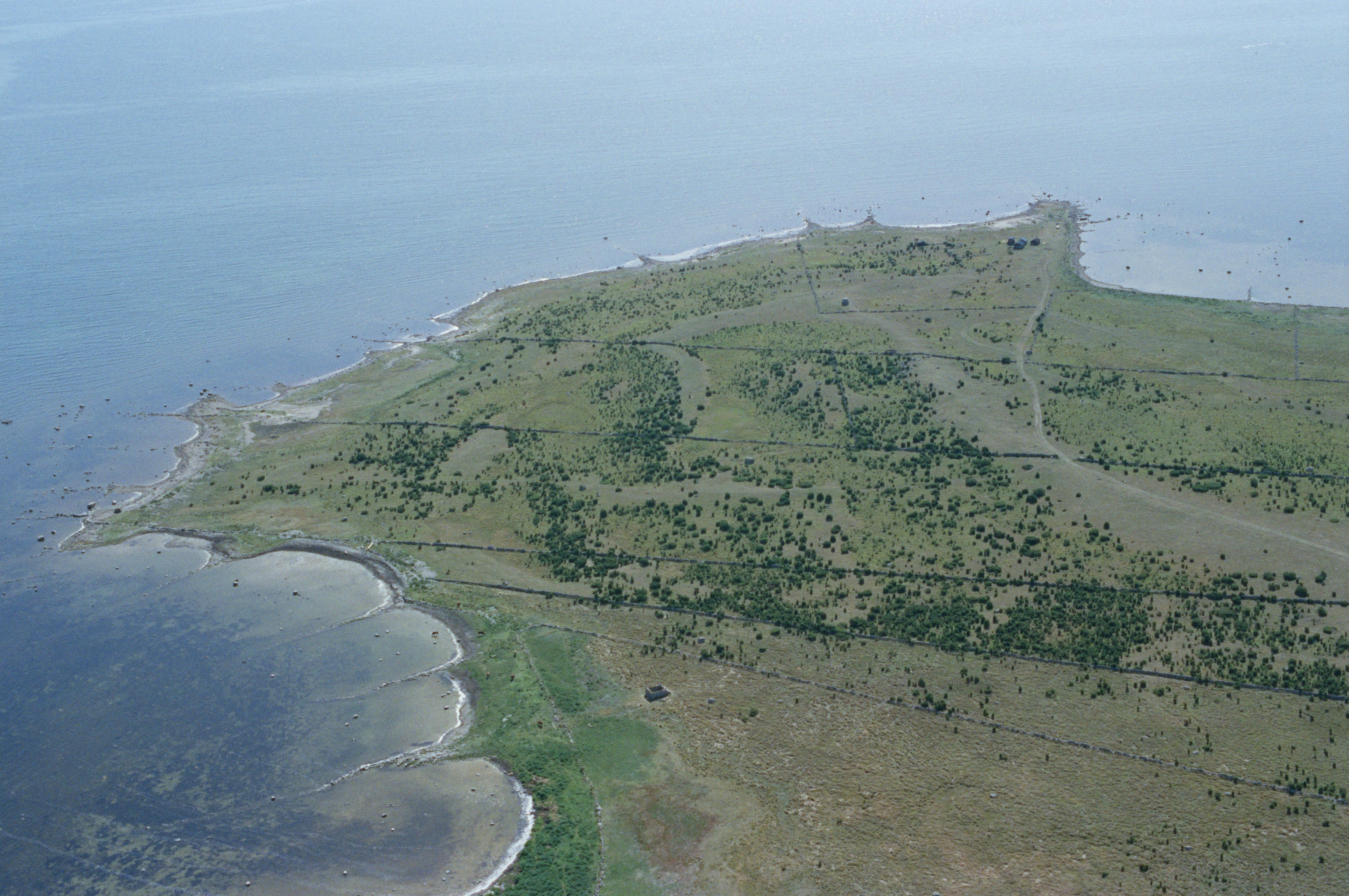 Jan Norrman, Varholm
