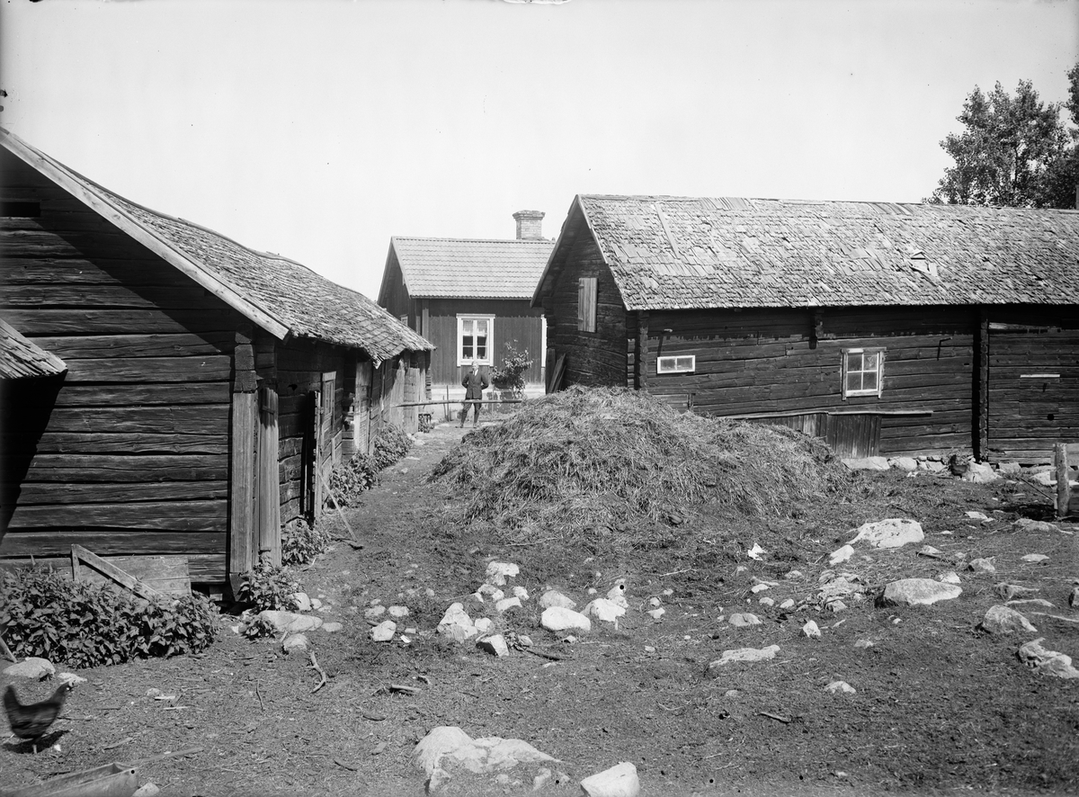 Paul Sandberg, Fägård, Spikbole, Bälinge socken, Uppland 1920-tal