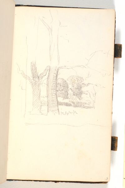 P.C. Skovgaard, To træstammer