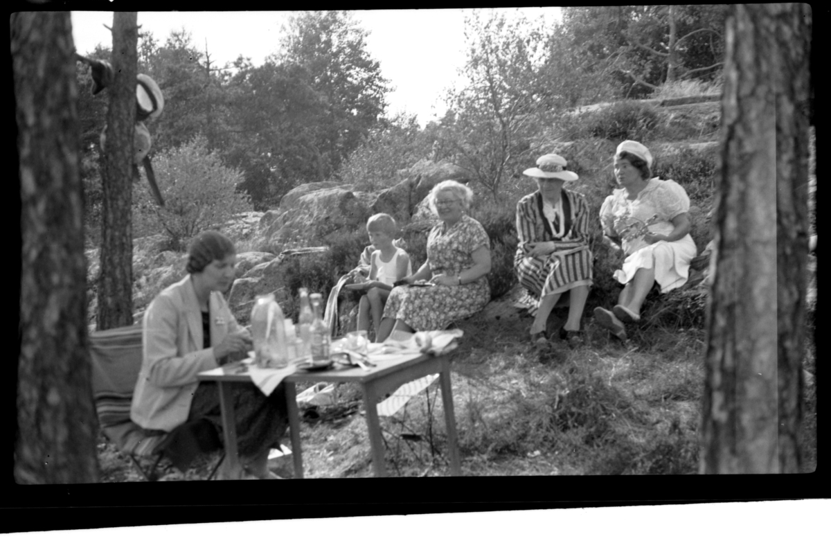 Rolf Sr. Sundt, NF.34664-676