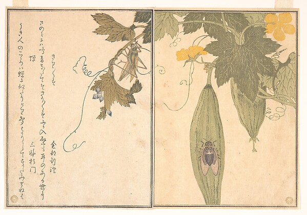 Kitagawa Utamaro, Grasshopper (Kirigirisu); Cicada (Semi), from the Picture Book of Crawling Creatures (Ehon mushi erami)