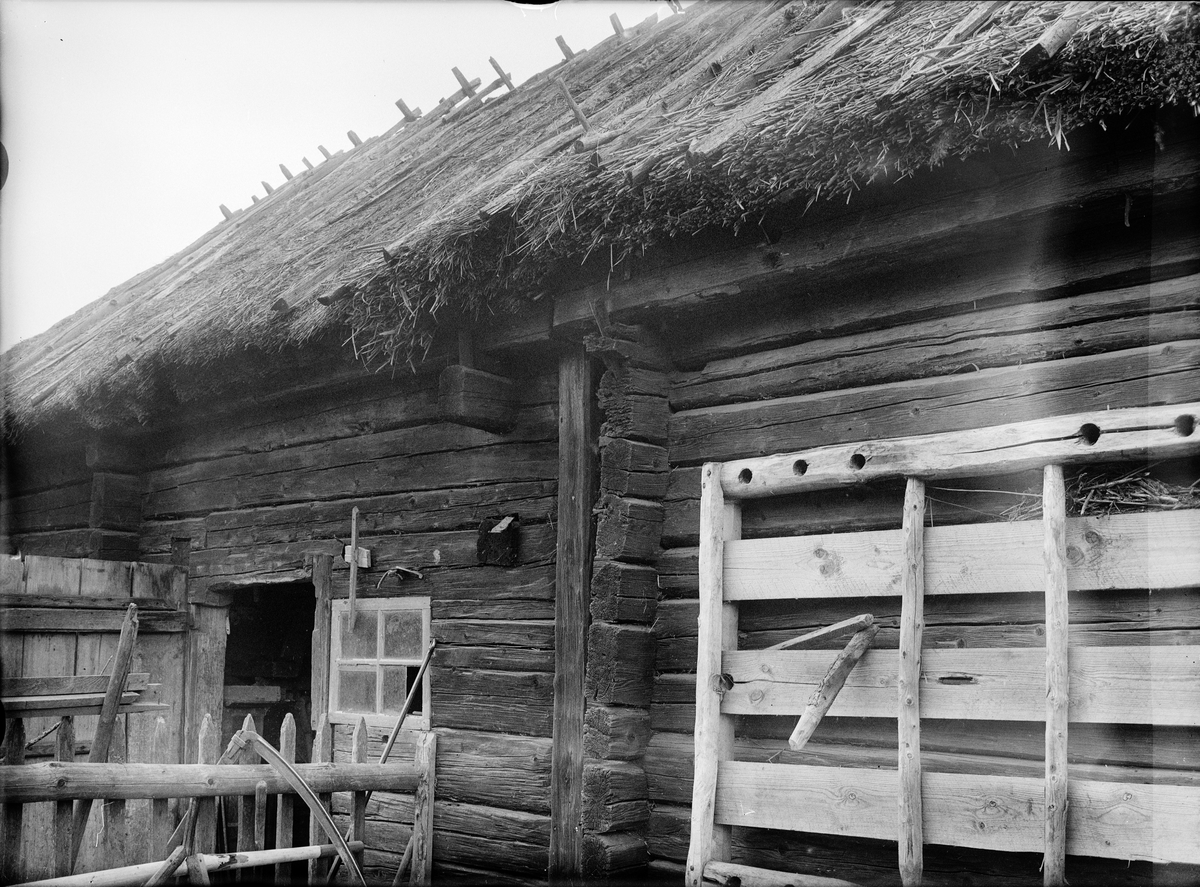 Paul Sandberg, Stall och loge, Vreta torp, Dalby socken (Uppsala-Näs socken), Uppland, sannolikt 1920-tal