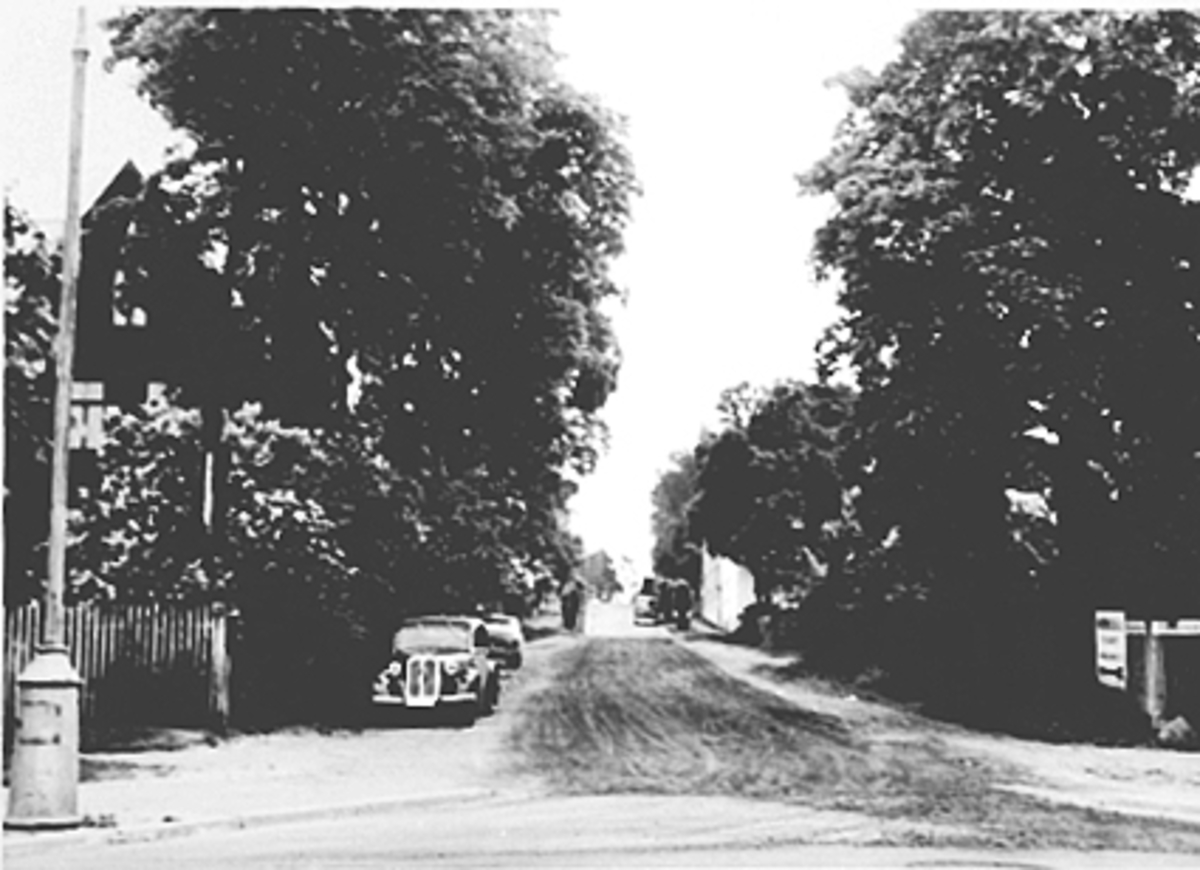 Anno Domkirkeodden, OVERSIKT WERGELANDSGATE, FRA KRYSSET WERGELANDSGATE/STANGEVEGEN, PARKERTE BILER