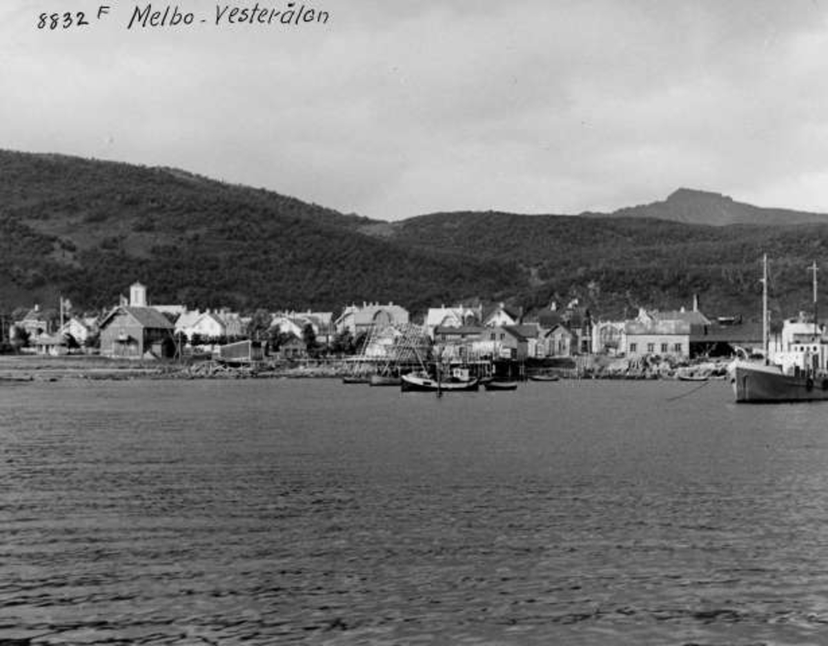 Anders Beer Wilse, -6391