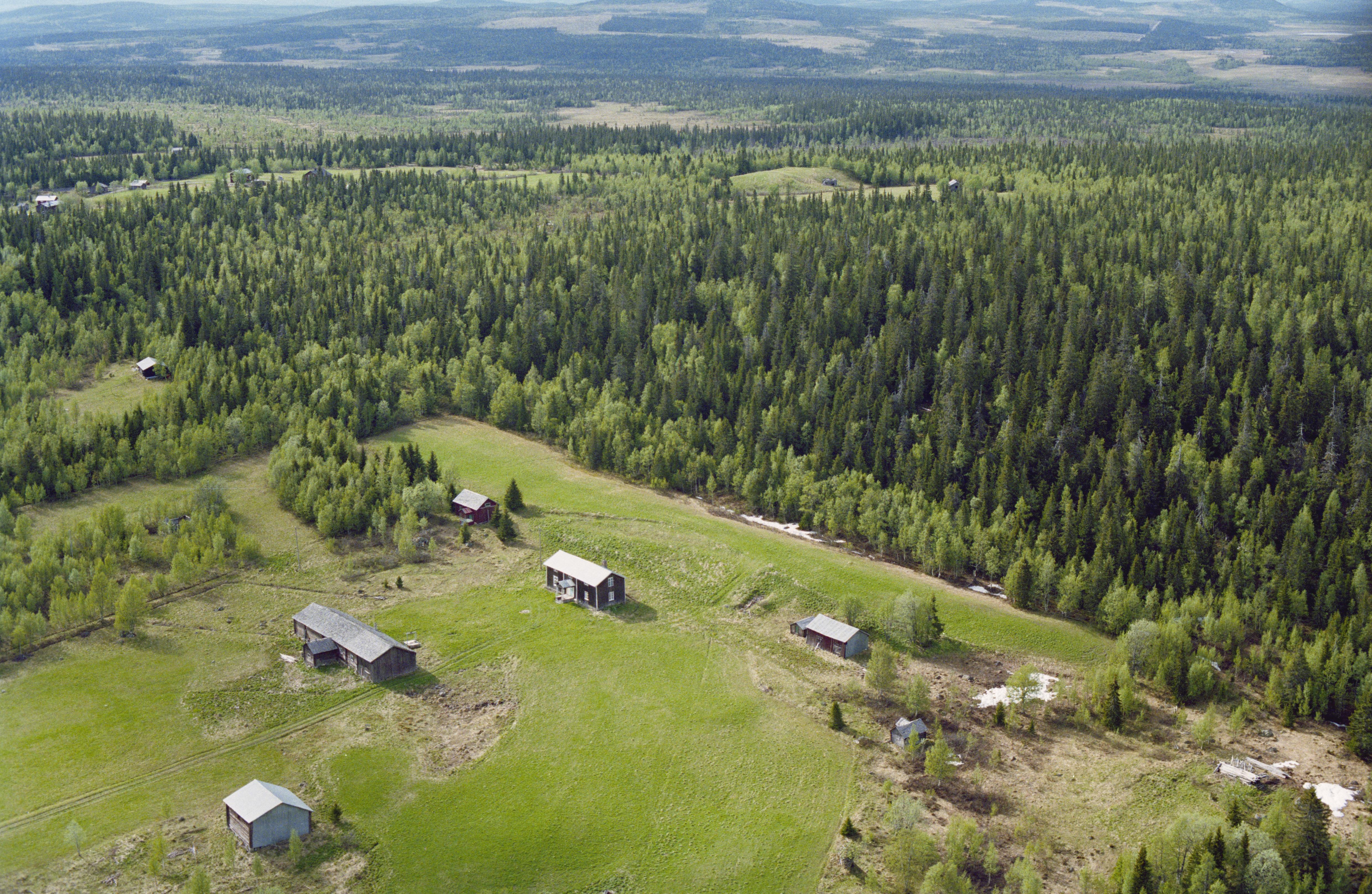 Jan Norrman, Risträsk