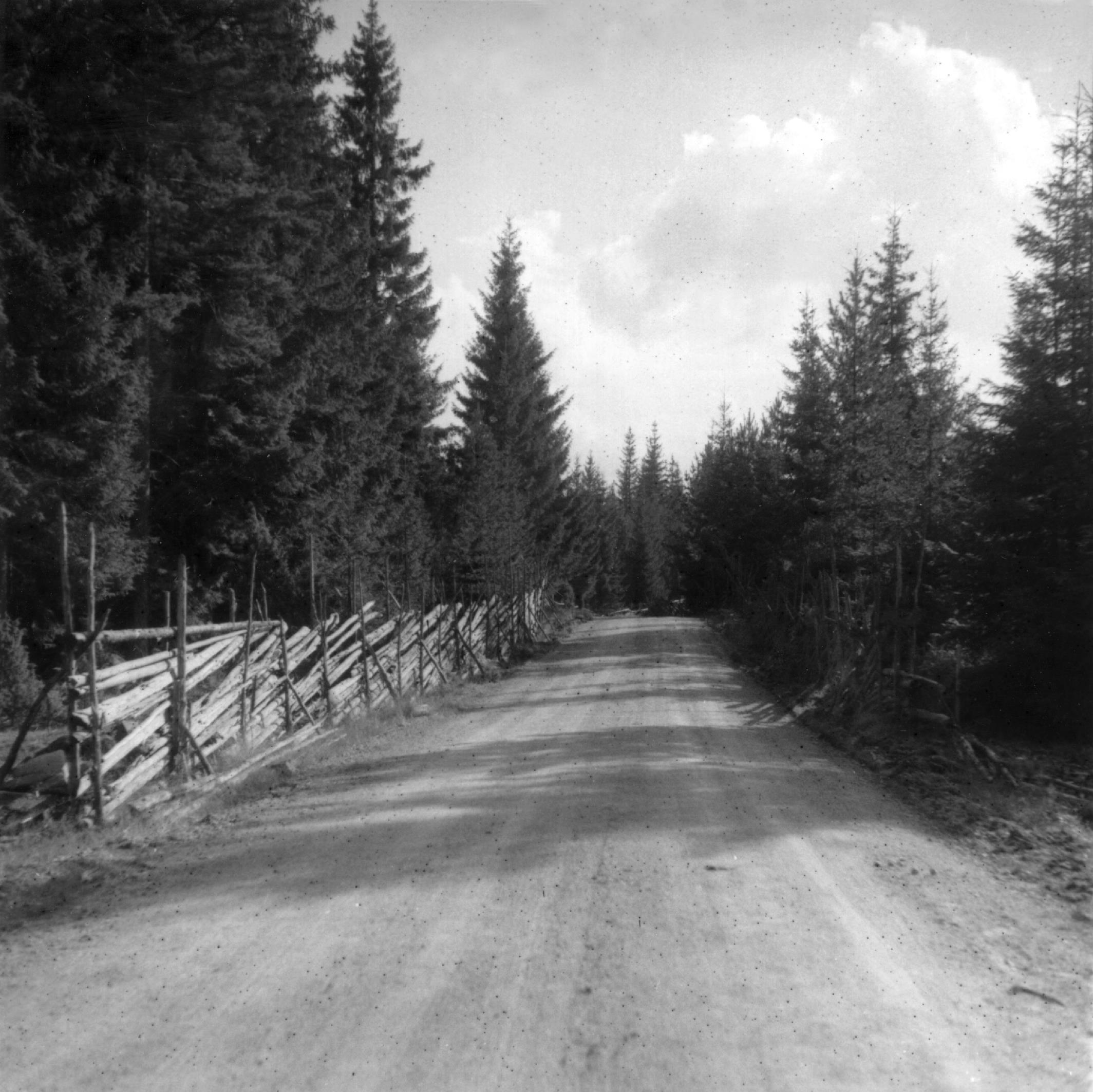 Mårten Sjöbeck, Bogsjö