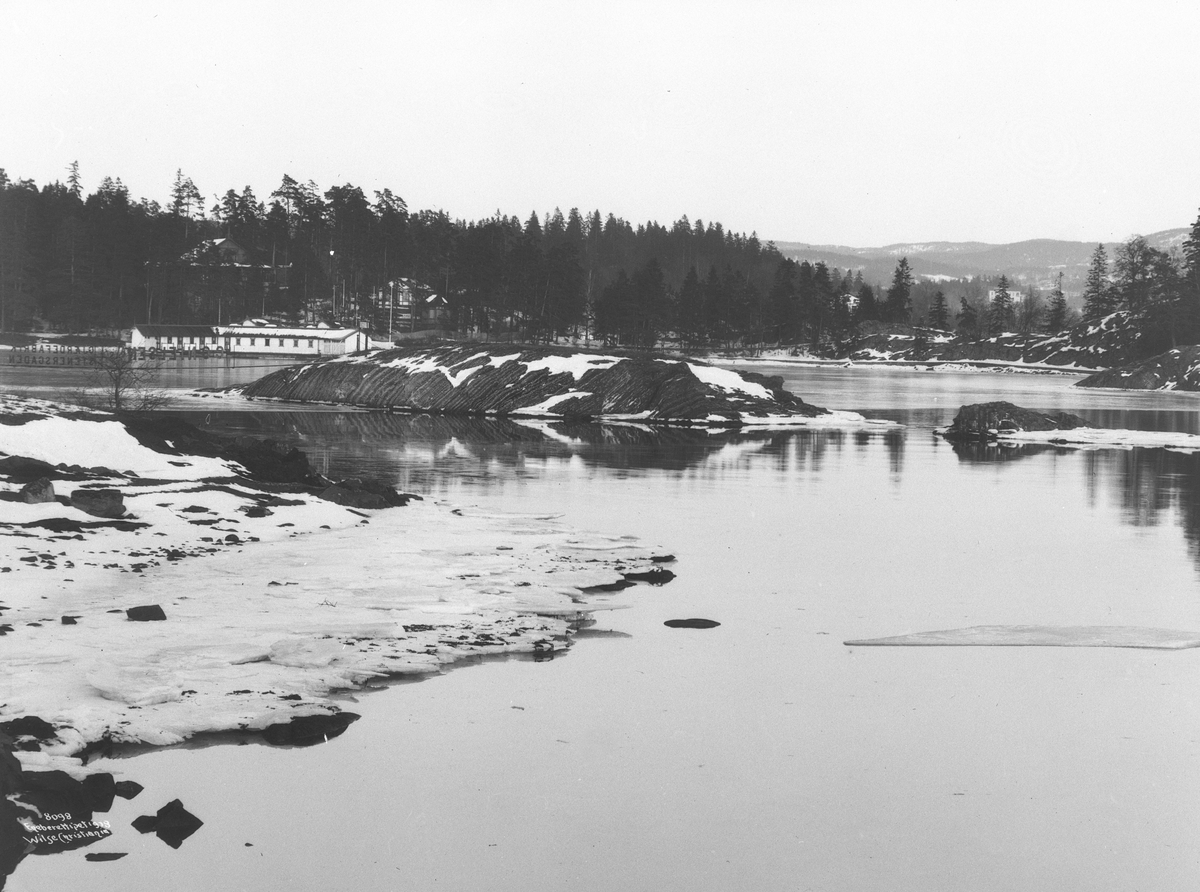 Anders Beer Wilse, Prot: Ved Bygdø Sjøbad 21/1 1908