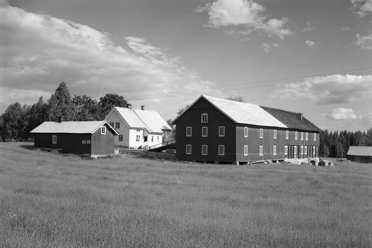 Anno Domkirkeodden, GARDSTUN, VEALUND. Se Løtenboka, bind 2. Bygdeboka fra 1953, side 636