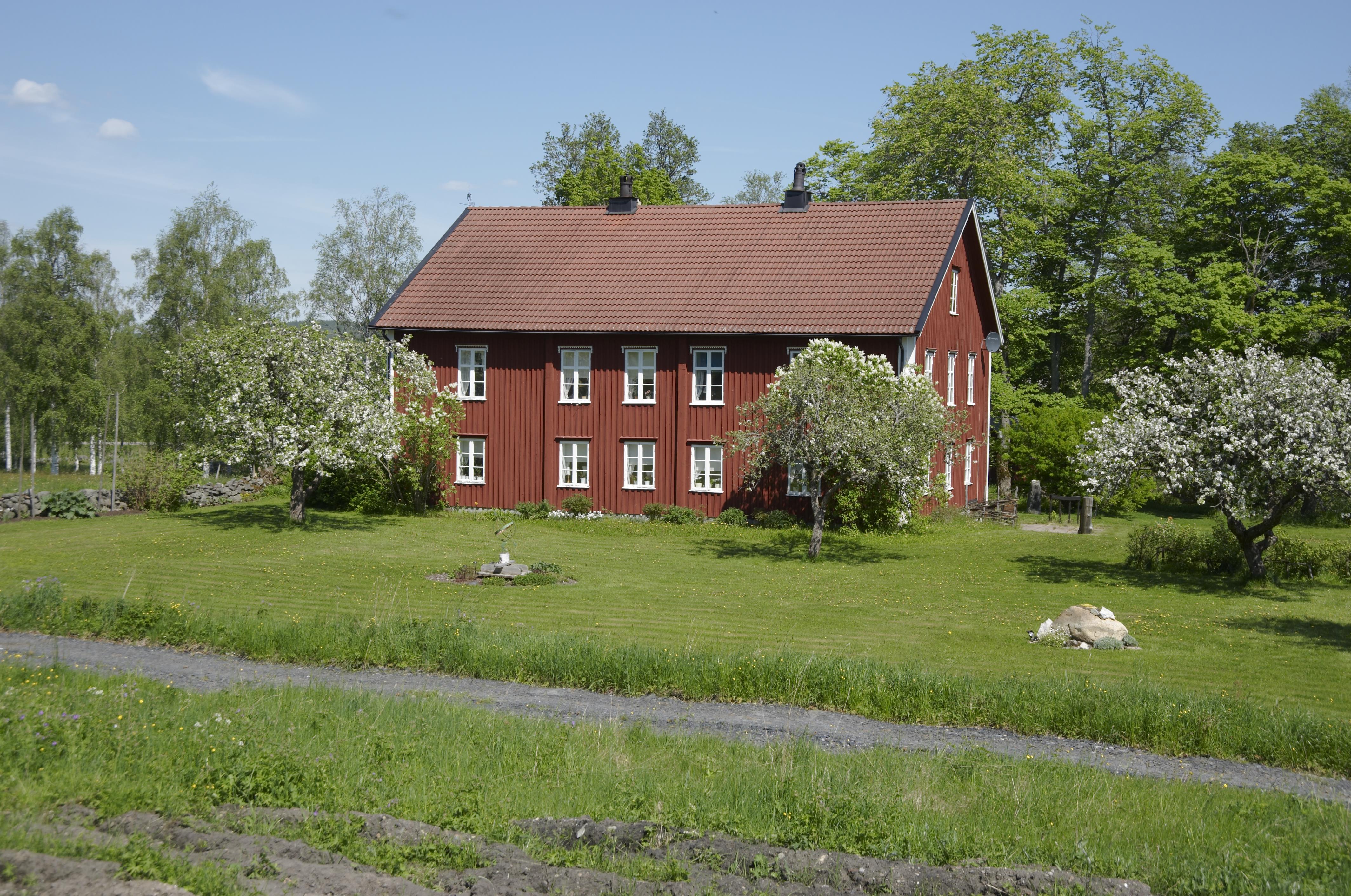 Bengt A Lundberg, Gåsborn