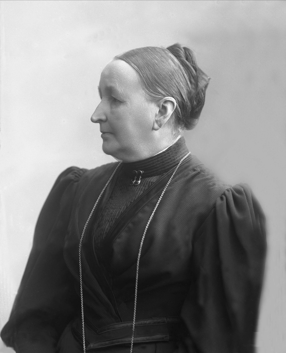 Gustav Borgen, NFB.53097