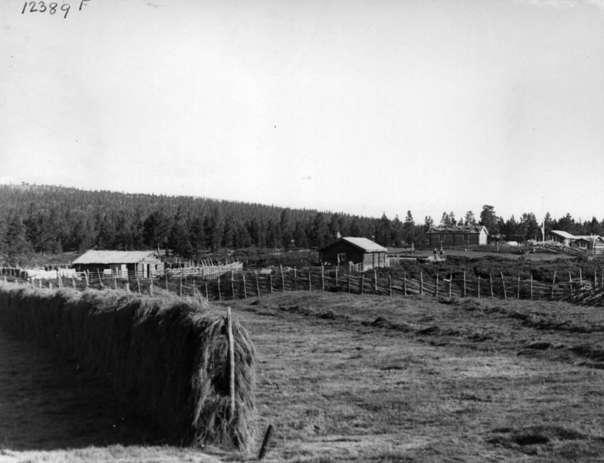 Anders Beer Wilse, Misterdalsetra, Seterbruk, Slåttonn