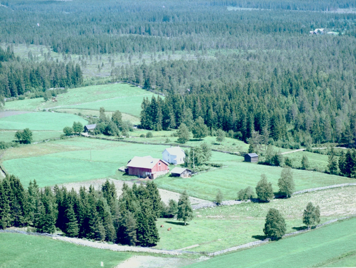 Widerøes Flyveselskap A/S, FLYFOTO HOELSTUEN GARD