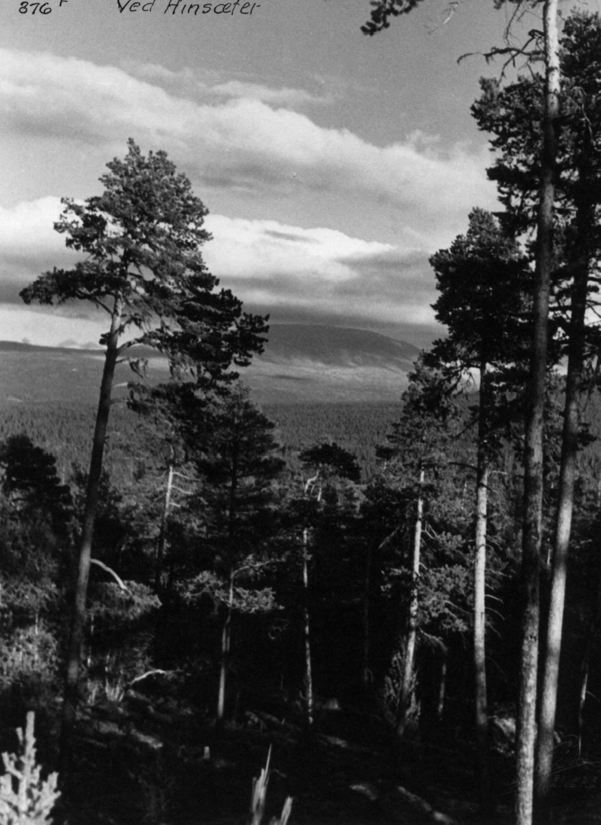 Anders Beer Wilse, Jotunheimen, Mellom Hindsæter og Bessheim, Landskap