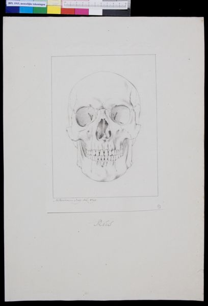 M Houtman, Skull of a Russian
