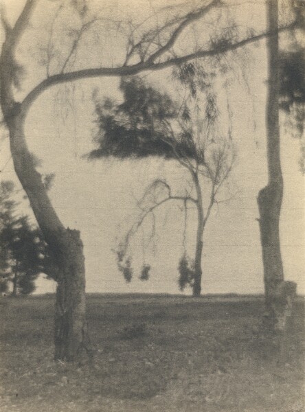 Louis Fleckenstein, [Landscape with Trees]