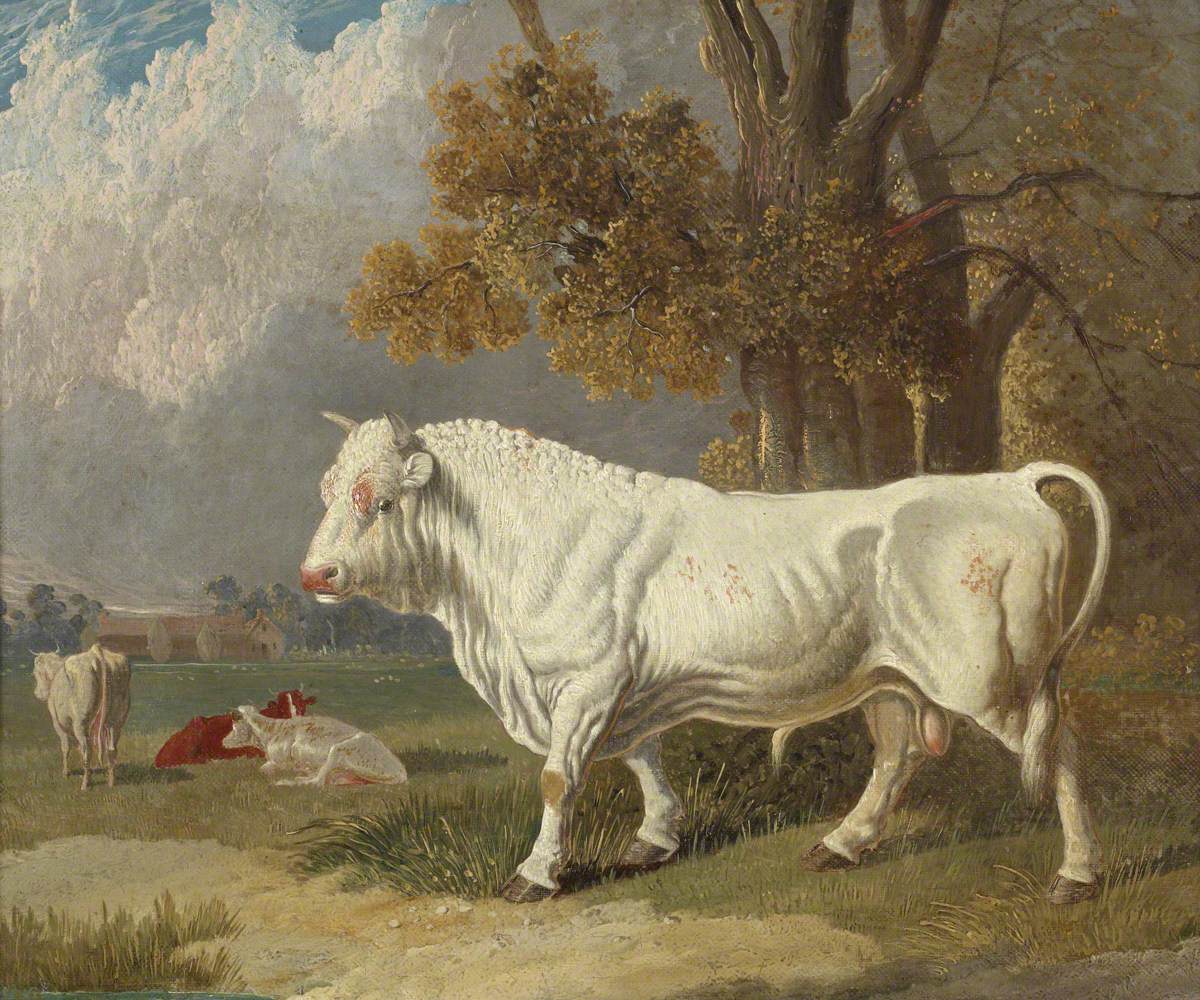 John Frederick Herring, Sr., White Bull, Fulbourn, Cambridgeshire, 1830