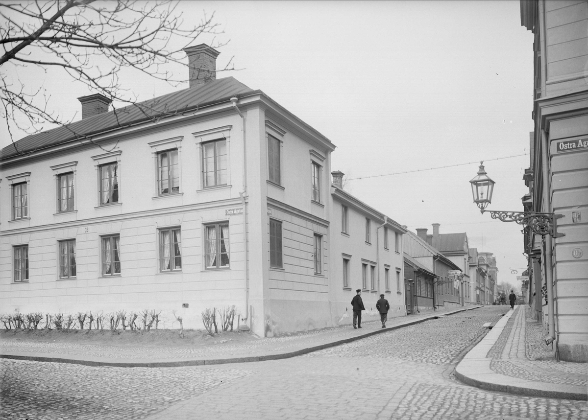 Alfred Dahlgren, Bredgränd - Östra Ågatan, Uppsala 1901 - 1902