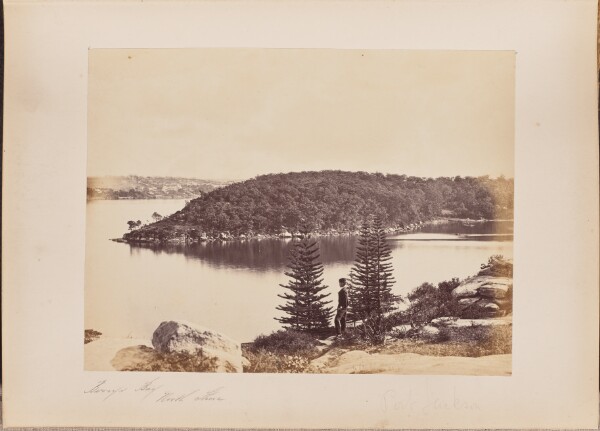 Unknown, Berrys Bay, North Shore