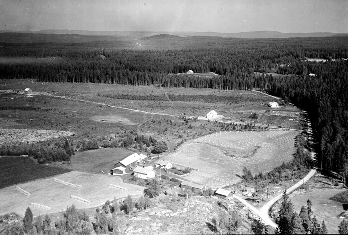 Widerøes Flyveselskap A/S, FLYFOTO, (HEKNE)RYDNINGEN 278-5, BAK: SVENHAUG 404-162, ÅSBYGDA