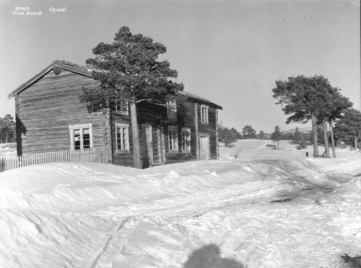 Anders Beer Wilse, Prot: Opdal veiparti med hus