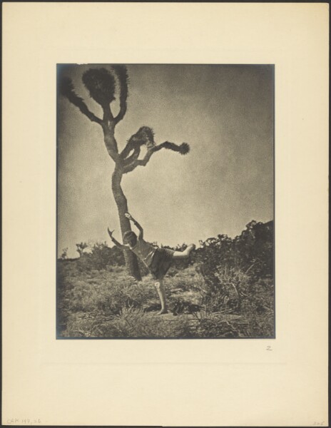 Louis Fleckenstein, Lithe and Graceful - Dancing Joshua