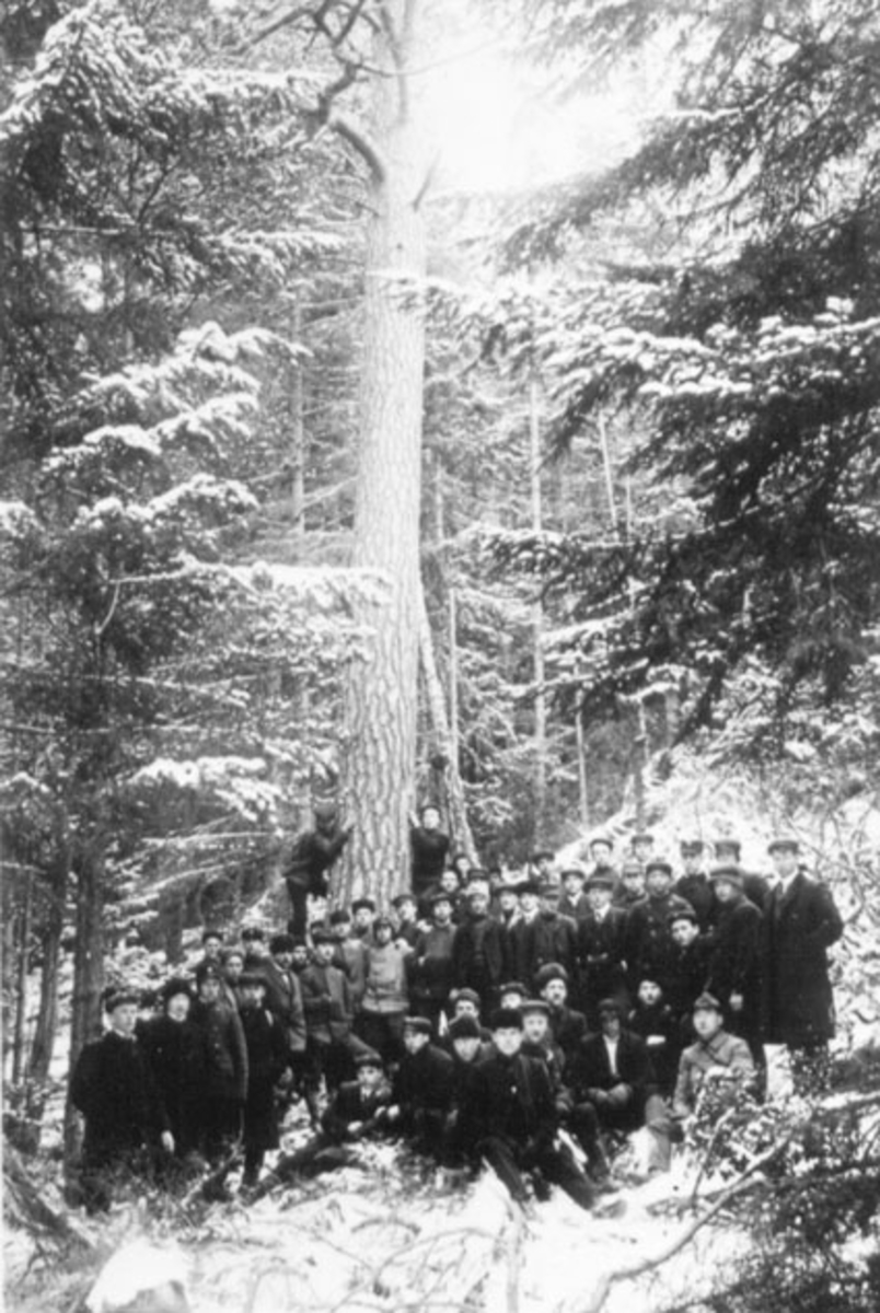 Anno Domkirkeodden, STOR GRUPPE. ELEVER, LÆRERE, SKOGSDAG, JØNSBERG LANDBRUKSSKOLE, VINTER, ROMEDAL,