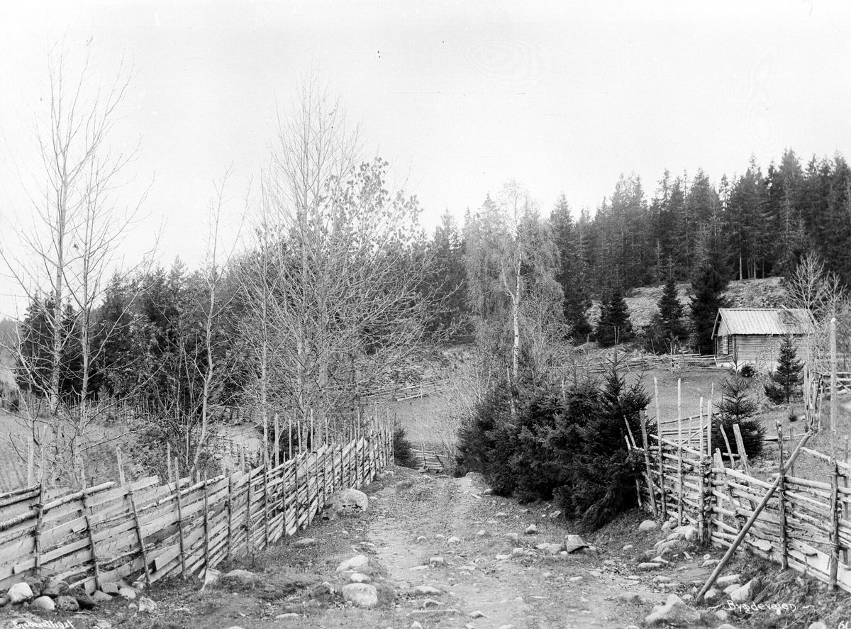 Anders Beer Wilse, Prot: Bygdevei nær Drammen Oct.1900