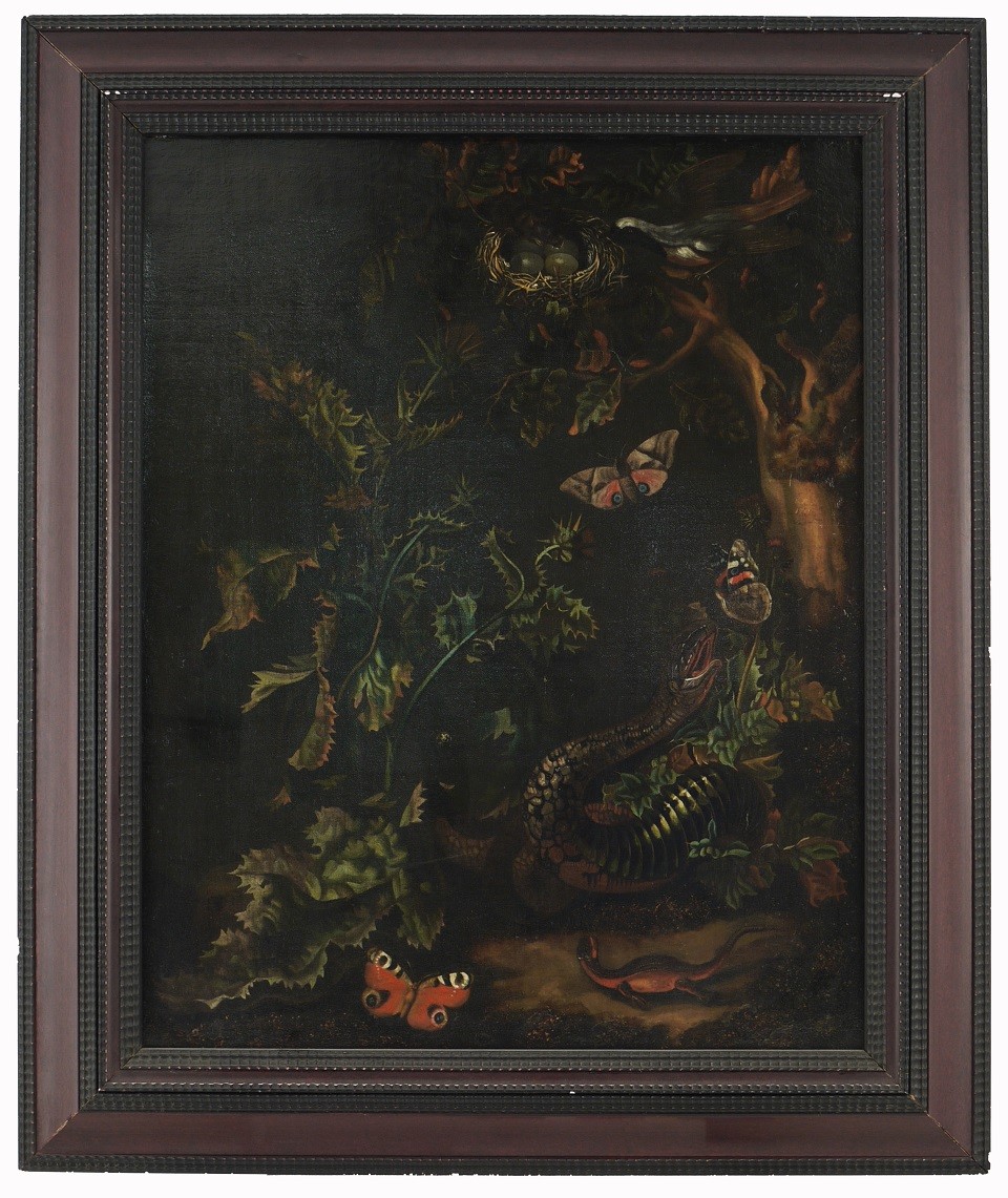 Rachel Ruysch, Waldstück mit Tieren