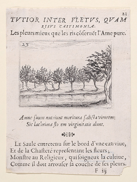 Jacques Callot, Le Saules au Bord de l'Eau (The Willows at the Waterfront), plate 23 from "Lux Claustri ou La Lumière du Cloitre" (The Light of the Cloisters)