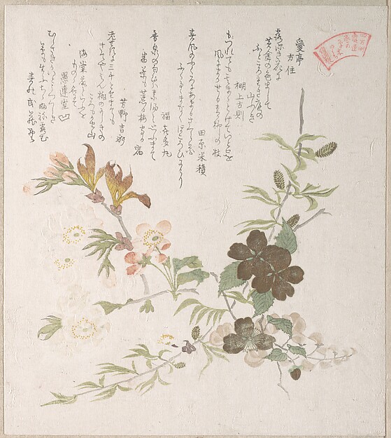 Kubo Shunman, Cherry Blossoms and Yamabuki Flowers