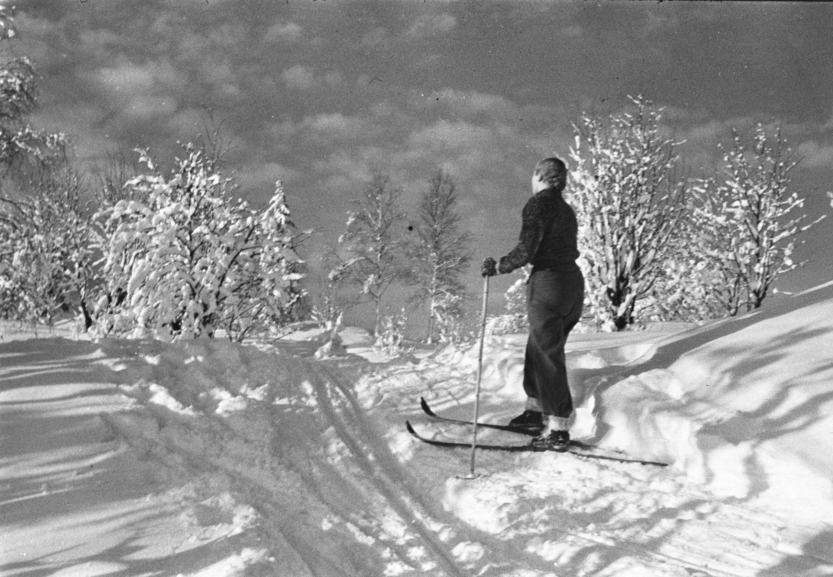 Anders Beer Wilse, Prot: Nordmarka