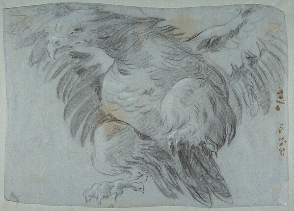 Giovanni Battista Tiepolo, An Eagle with Wings Spread