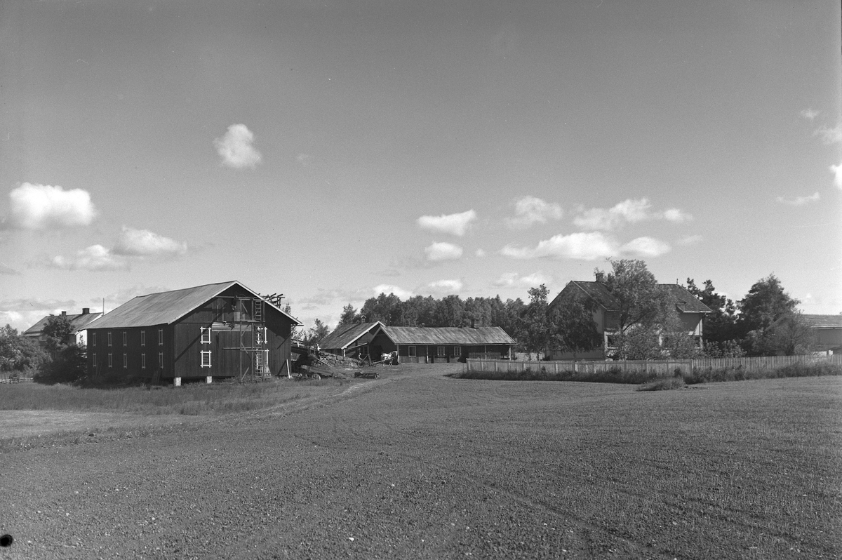 Anno Domkirkeodden, EKSTR: GARDSTUN, LANGVEGG, (STORØDEGARDEN) Se Løtenboka, Bygdebok fra 1953 bind 2. side 537