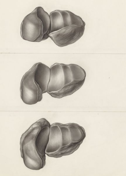 J Tinkelenberg, Three joints
