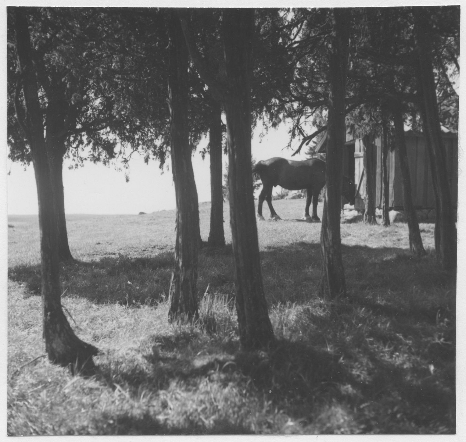 Mårten Sjöbeck, Lilla Malmö