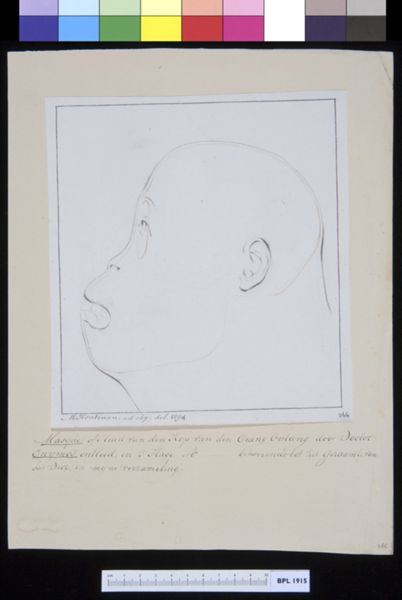 M Houtman, Animals: head of an ape