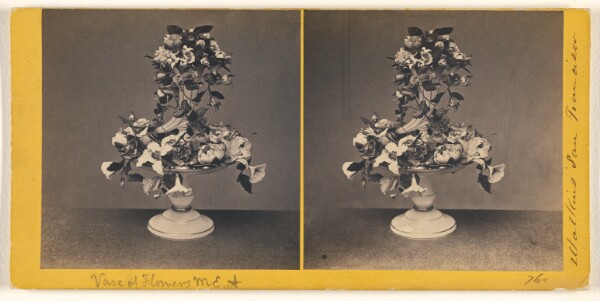 Carleton Watkins, Vase of Flowers