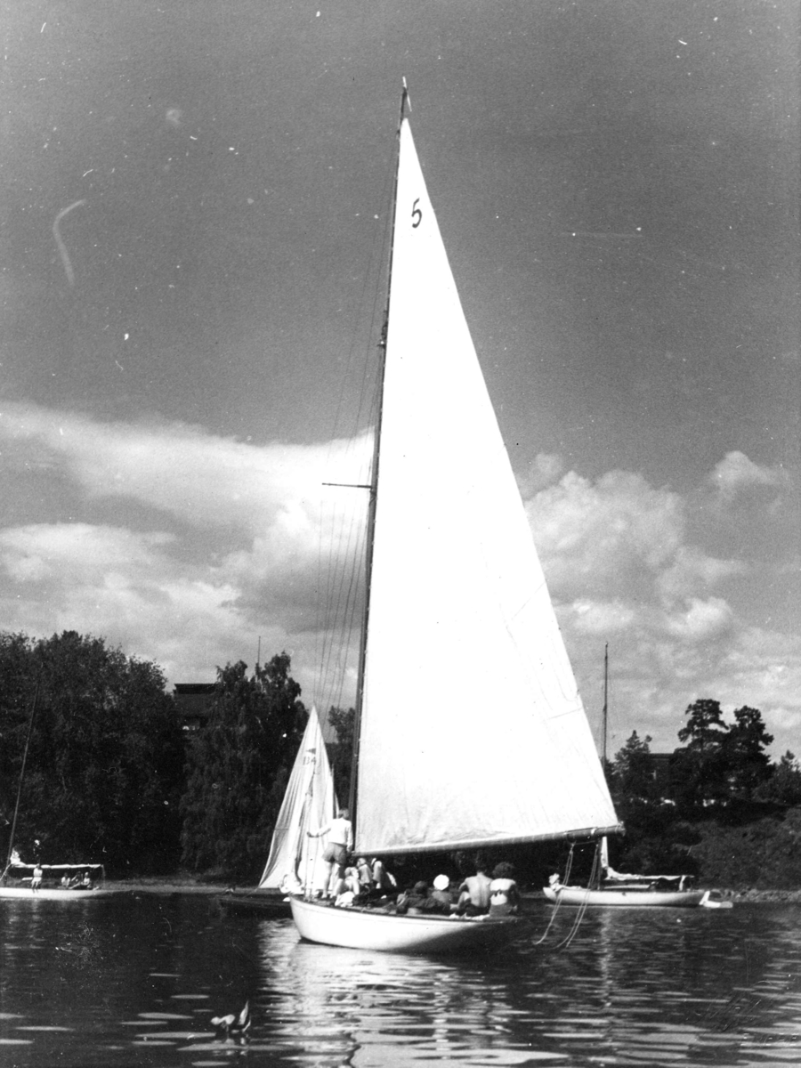 Anders Beer Wilse, Seilsport
