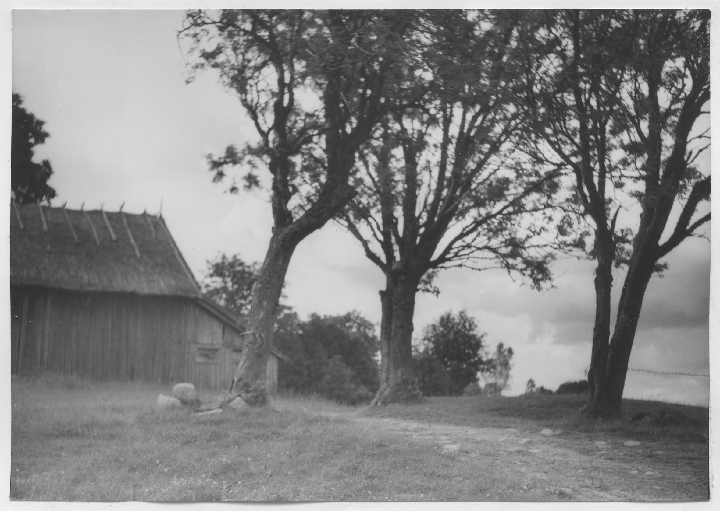 Mårten Sjöbeck, Västra Torp